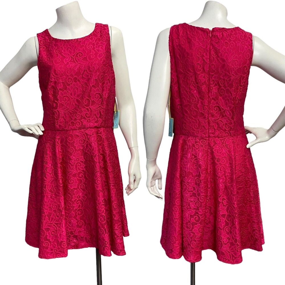 CeCe Women's Pink Lace‎ Floral Fit and Flare Sleeveless Dress Size 10 NWT